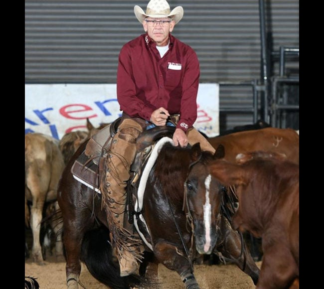 United States Cutting Horse Association